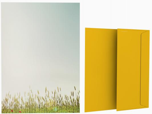 Spring Flowers Stationery  Writing paper